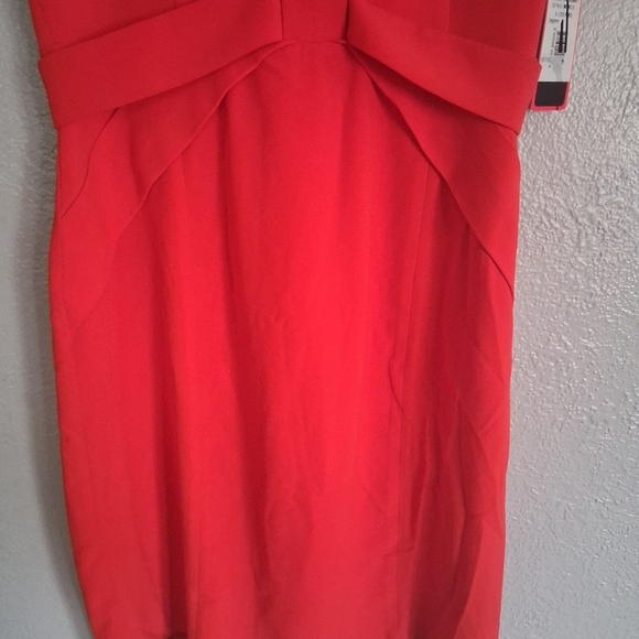 Focus by Shani Womens Poppy Modele Dress Size 6 NWT - Picture 5 of 10